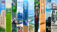 让不雅众亲眼中国大地上的绿色变化和人